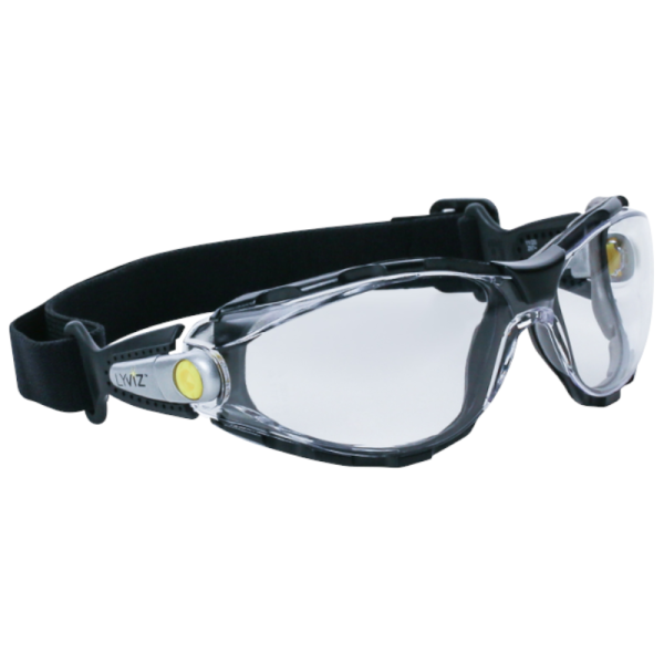 OKULARY OCHRONNE DELTA PLUS PACAYA CLEAR STRAP LYVIZ Z POLIWĘGLANU PRZEZROCZYSTE