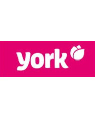 YORK