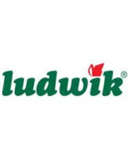 LUDWIK